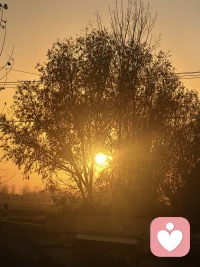 自我个体性探索清单
 
填写提示：找一段安静的时间，跟随内心真实想法填写，无需评判对错。
 
一、 独特性：我是谁？
 
1. 过去一年，3件“很像我会做的事”：
 
2. 做什么事会忘记时间、感到满足？
 
3. 身边人认可的3个我的特质：
 
 
我坚持但不被理解的特质：_________________
4. 当下最看重的3个价值（排序）：
①_________________  ②_________________  ③_________________
 
二、 自主性：我能自己做主吗？
 
1. 最近一次独立做的重要决定：_________________
做决定时最看重的因素：_________________
2. 他人意见和我不一致时，我通常会：_________________
我坚持自己选择且不后悔的事：_________________
3. 为迎合别人做过的事：_________________  做完感受：_________________
4. 下个月想为自己做的“遵从内心”的小事：_________________
 
三、 边界感：我的“保护壳”在哪里？
 
（一）心理边界
 
1. 别人说/做什么会让我不舒服？
 
2. 我是否会因怕冲突压抑真实需求？ □是 □否
3. 我的拒绝话术（或想设计的）：_________________
 
（二）身体边界
 
1. 身体发出的“需要休息”的信号：_________________
我通常的回应方式：_________________
2. 让我身体放松的事：_________________  多久做一次：_________________
3. 如何温和坚定提醒忽视我身体感受的人：_________________
 
四、 整合与行动
 
1. 代表我个体性的3个关键词：
 
2. 我的自我宣言：_________________
3. 未来一周，践行自我宣言的小事：_________________
 
 
 
备注栏：_________________配图