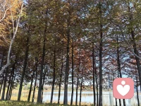 一阴一阳之谓道
​你看不惯那些人【原因都是因为自己】
​阴阳平衡【人生就是会有好人与不好的人】
​在解决别人与自己来说【解决自己比解决别人更容易】[偷笑][偷笑]新知识哟配图