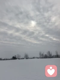 孤独的根源
 
孤独感的核心，往往是与自己的关系失衡。
无法接纳自我，总用批判目光审视自己，即便身处人群，内心也像筑起高墙。
不懂与自己独处，自然难与他人真正联结。