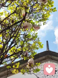 如果你每过一个路口都是红灯，也就是说你目前的车速刚好卡上了红灯的节奏，那你不妨慢下来，打开车窗，看一看沿途的风景，打开音乐，享受一下片刻的悠闲，节奏慢一点，就很有可能进入到你人生的下一个绿灯路段了。