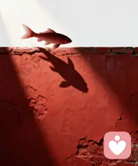 什么叫向内求？
不是让你躲进深山老林，而是外面兵荒马乱，你内心秩序井然，哪怕世界10分钟后要崩塌，你现在的任务依然是把这组铁撸完，把这页书读完，这叫安住当下。当你的生活充满了这种雷打不动的秩序感，你就拥有了所谓的金刚心。