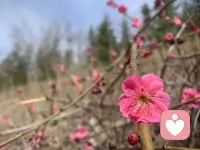 心狠是一个人珍视自己能量之后，一种顶级的能量管理策略。只有用心狠筛掉毫无意义的关系和干扰，你才能把能量放在真正该做的事上。你的行动才会果断、决绝，不再拖泥带水。最后，你要敢于失去，不要害怕失去。