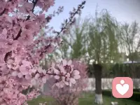 普通人总追求拥有权，觉得孩子是我的，老公是我的，钱是我的，这就是痛苦的根源。因为追求拥有权，就会导致失去时很痛苦。而高手从来不追求拥有权，他们追求的是使用权，任何事情我们只能得到使用权，无法真正得到拥有权，我们现在拥有的任何东西，包括我们的生命都只是阶段性被我们使用而已，拥有是偶然，失去一定是必然。所以，前半生要修炼如何拥有的手段，后半生要修炼如何放下的智慧。