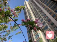 上善若水的真正含义：你高，我便退去，绝不淹没你的优点；你低，我便涌来，绝不暴露你的缺陷；你动，我便随行，绝不撇-下你的孤独；你静，我便常守，绝不打扰你的安宁。你热，我便沸腾，绝不妨碍你的热情，你冷，我便凝固，绝不漠视你的寒冷。