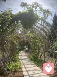 敢于拥抱成功。
很认同罗翔说过的这句话，你害怕抛头露面，害怕出丑丢人，害怕成为重要人物，害怕承担责任。实际上就是你害怕成功，你害怕成功，怎么可能成功？配图