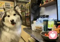 真正聪明的人，在人际关系中都懂得一个字，那就是躲。躲自己不喜欢的人、躲讨厌自己的人、躲心眼多、爱耍聪明的人、躲谎话连篇不讲信用的人，躲脾气暴躁的人，躲搬弄是非的人。这不是懦弱，而是你终于读懂了因果，学会了保护自己的能量场。配图