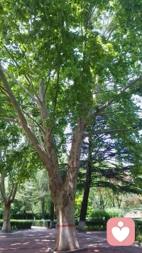 只要你不去关注任何人的动态，不去揣测任何人的想法，不去设想那些没有发生的事情，你简单一点，你糊涂一点，甚至你迟钝一点，然后再慢一点，你就会发现你会过得非常的自在。配图