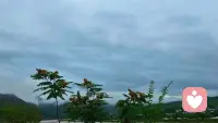 为什么大部分的婚姻都不幸福啊？不幸福的人，他本身就不幸福，只不过他之前不知道怪谁，结了婚只能怪婚姻了。配图