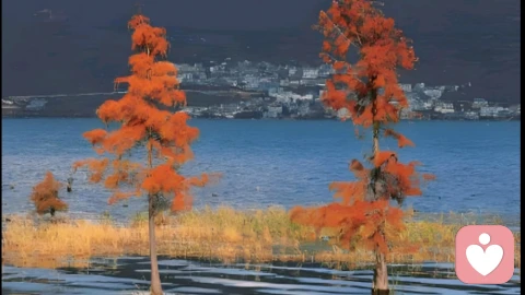 长大后,如何与父亲建立边界感\n\n当女儿渐渐长大,独立意识如春芽破土,与父亲的关系便需要重新定义。边界感不是疏远,而是让亲情在适当的距离中绽放更温暖的光芒。\