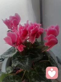 做一个自带光芒的人，或许会有人借着你的光走出阴霾和痛苦。配图