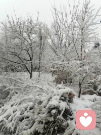 春天之后后雪，给大地带来了滋养，预祝今天农业大丰收。配图