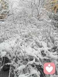 春天之后后雪，给大地带来了滋养，预祝今天农业大丰收。配图