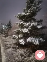 春天之后后雪，给大地带来了滋养，预祝今天农业大丰收。配图