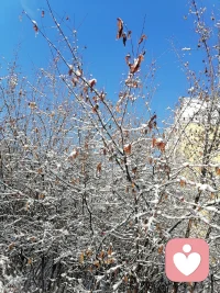 苍天爱着大地，更爱他的子民，在春耕时节，给大送来及时慢慢溶化的雪，为春阱做了最好准备，你的子民感恩您的馈赠🙏🙏🙏配图