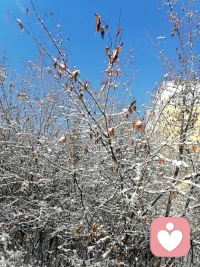 苍天爱着大地，更爱他的子民，在春耕时节，给大送来及时慢慢溶化的雪，为春阱做了最好准备，你的子民感恩您的馈赠🙏🙏🙏配图