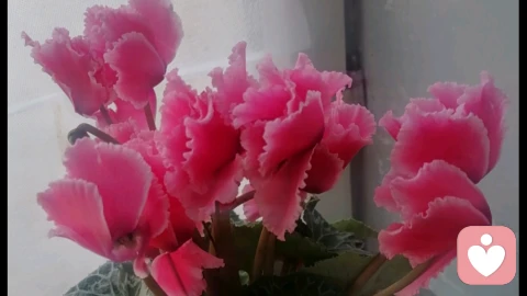 成长过程中   如何