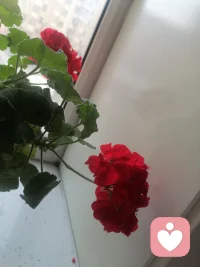 五一劳动节快乐！配图