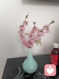 如果你不能飞，那就跑。如果跑不动，那就走。实在走不动，那就爬。无论怎样，你都要勇往直前。                                 

                                           ——马丁.路德.金配图