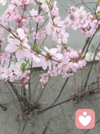 回避现实，只能将困难推迟。配图