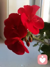岁月不饶人，虽然感觉，力不从心，但不想放弃，坚持，坚持。希望现在的主业能完美收官之后，正试进入心理学行业。配图
