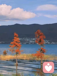 做为母亲，无论怎样爱你的孩子，请守住底线。在孩子试探你时，不要犹豫，理智而坚决的拒绝，做正向引导，或找专业的心理咨询师咨询。