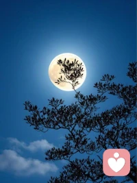 不是月饼甜，是团圆的人心里甜。‌
祝中秋节快乐！阖家团圆！