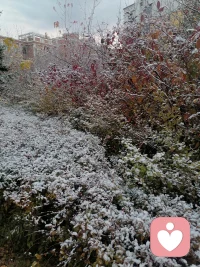 家乡的第一场雪