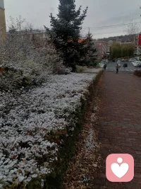 家乡的第一场雪