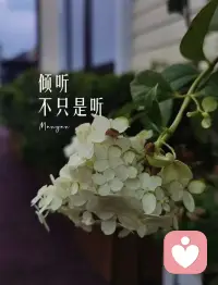 倾听不只是听，倾听的过程，我看到更多孤独的灵魂，她们的灵魂很美，却淡薄到透明，她们也渴望被看见，也渴望有人能懂她们，有幸能成为一名倾听者，能陪她们在黑暗中走一程，我觉得无比的有意义。配图