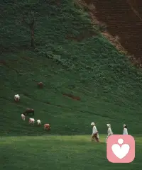 ♥还是想说，不要沉浸在做错事之后的悲伤和悔恨里，因为人不可能不做错事，也不可能不走弯路，而且人生永远不可能有最优的又或者是一劳永逸的选择。生而为人，谁都会走错路，爱错人，做错事，没关系的，真的。配图