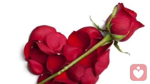 人际关系的“边界模糊”，是消耗的根源