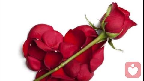 非暴力沟通在亲子中的优点和缺点