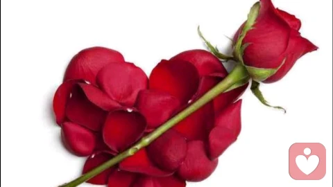 一个真正身心健康的人，不会有很强的物欲