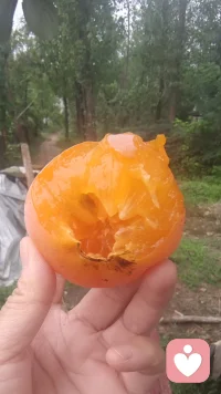 别人否定和拒绝，并不代表你不好

 听到别人说“不”时，往往会瞬间失落。你可能会陷入自我怀疑，反复推敲是自己哪里做错或不够好。这种感受很正常，因为每个人都渴望被认可和接纳。
 
但他们的否定和拒绝，其实更多反映的是对方的局限或当时的情境。那个人可能因为自身的不安、偏见、忙碌或经验所限，无法给出肯定回应。他们或许也正困在自己的烦恼中，对你的需求无能为力。拒绝有时是为了自我保护，无关好坏，只是当下的选择不适合。
 
你的价值从不依赖于别人的评价。就像一个苹果不会因为有人不爱吃而变得苦涩，每个人都有独特的闪光点。即使这次被拒绝，也请相信未来会有更多理解与欣赏你的人到来。重要的是，在这个过程中学会坚定自己的内心。
 
回想那些被拒绝的经历，或许反而为你打开了不同机遇的大门，让你看清更真实的方向。试着从情绪中抬头，把注意力放回自己身上：你在成长吗？是否忠于自己？你欣赏自己哪些品质？关注这些问题，你会逐渐建立起不被外界风雨动摇的自信。
 
不要再把他人的“不”当成对你全部的否定。它们只是漫长人生路上的交错与回声，而你始终走在属于自己的旅程里。配图