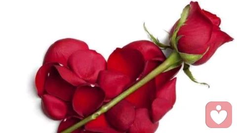 一个磁场很干净的女人,身上都有几个特征 \n\n一个磁场很干净的女人,身上都有几个特征 \n\n