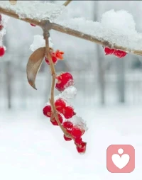 长久相爱，守住这三个底线
 
一段婚恋关系想要长久稳定，除了爱与包容，更需要守住不可触碰的底线，底线是感情的保护伞，守住底线，才能避免关系走向破裂。
 
第一条底线是忠诚，忠诚是婚恋的根基，无论是精神出轨还是身体越界，都会彻底摧毁彼此的信任，信任一旦崩塌，即便勉强复合，也很难回到最初的状态，自觉与异性保持边界感，是对伴侣最基本的尊重。
第二条底线是尊重，不贬低、不嘲讽、不家暴，无论争吵多激烈，都不触碰人格侮辱与暴力的红线，尊重对方的想法、选择与隐私，平等相处才是健康的关系。
 
第三条底线是责任，婚姻不是一时的激情，而是长久的责任，对家庭负责、对感情负责，不逃避家务、不推卸经济压力、不忽视伴侣的需求，遇事共同面对，而非遇事就逃避、甩锅。爱会随着时间变淡，但责任与底线会让感情沉淀。守住忠诚、尊重、责任三大底线，再辅以包容与沟通，才能让婚恋关系抵御岁月的平淡与生活的风雨，相伴走到最后。配图