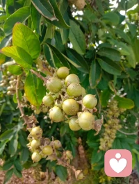 在关系里做到不卑不亢，不丢失尊严，做自己配图