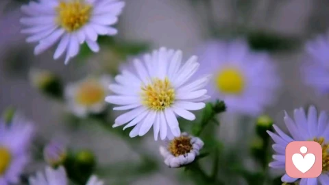 “赢的关系”四个核心前提