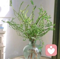 我值得被好好对待，即使曾经没有被好好爱过。配图