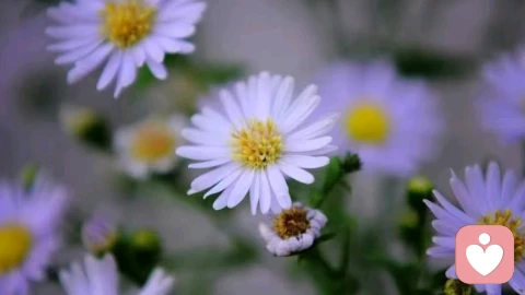 真正的成长是以清晰的“知道”