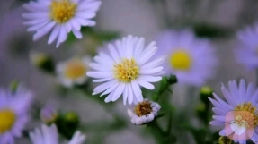 真正的成长是以清晰的“知道”