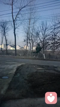 懂事，是一种很深的绝望。配图