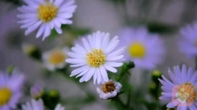 真正的高手，都在用两个方法识人