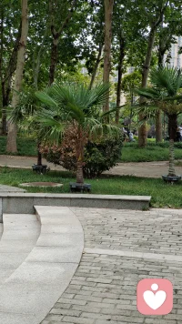 真正的安全感是：
我不完美，但我依然值得被爱、被善待。
 
- 允许犯错
​
- 允许脆弱
​
- 允许慢慢来配图