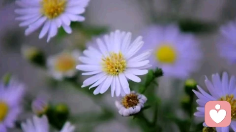 中年夫妻，男人三种行为，我们要看懂