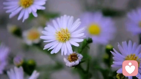 关于“知道”的认知碎片