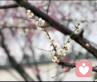 自信不是无所不能，而是相信自己有面对一切的勇气和成长的潜力配图