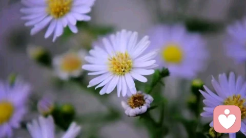 为什么你一有情绪，你的伴侣就会不耐烦？