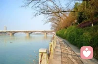 很多人以为成长是变得无坚不摧
其实，真正的成长是允许自己脆弱
你不必一直懂事，一直坚强，一直自愈
在这里你可以放心，被看见，被理解，被接住配图