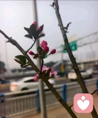 有些人，只会在失去后才懂珍惜；
有些关系，只能用来成长，不能用来终老配图